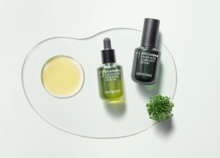 所有產品｜綠藤生機Greenvines